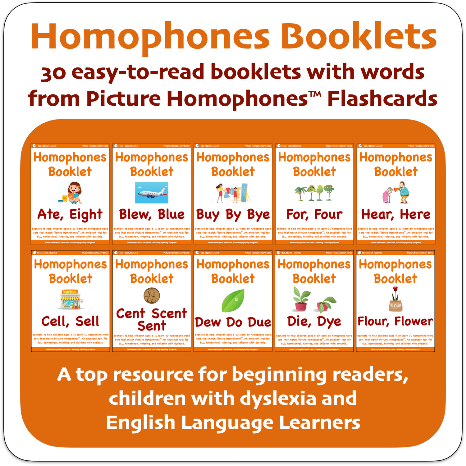 Homophones Booklets