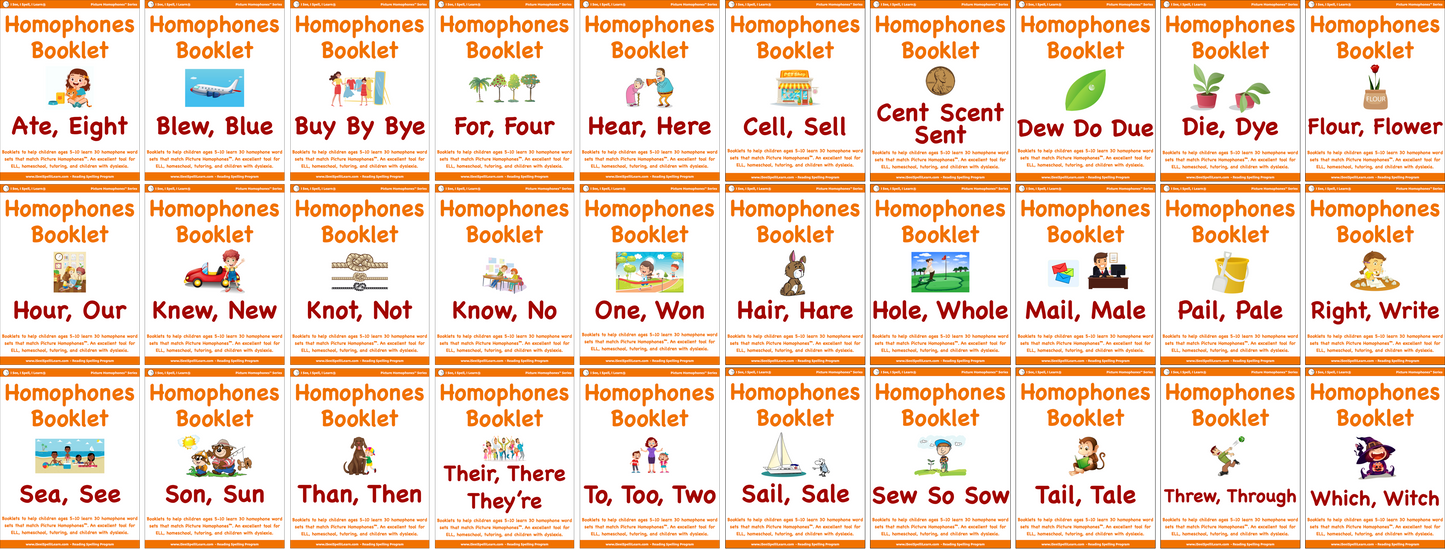 Picture Homophones™ - Bundles - Flashcards, eWorkbook, Homophones Booklets